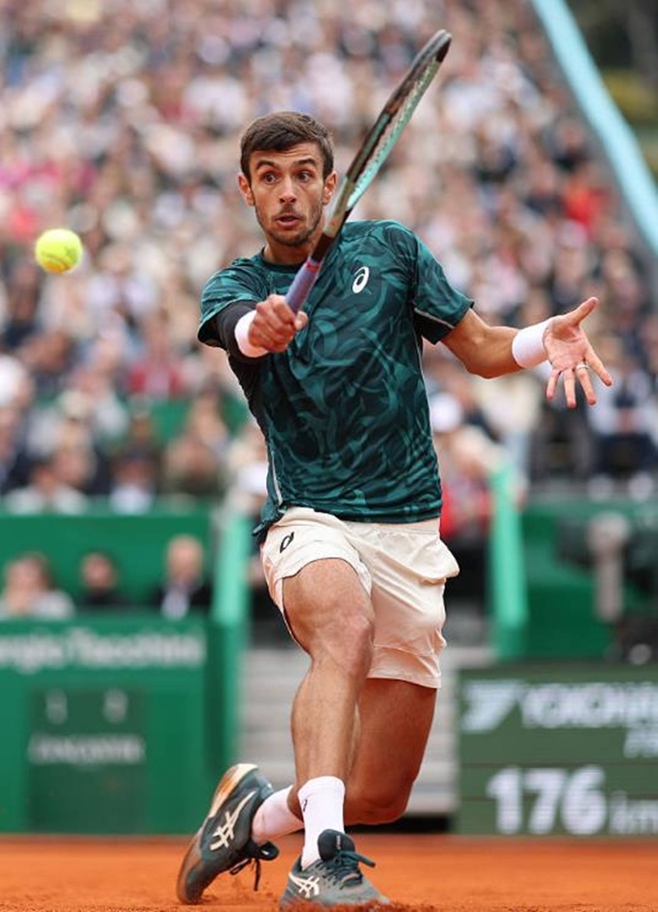 支而失去对 支而失去对